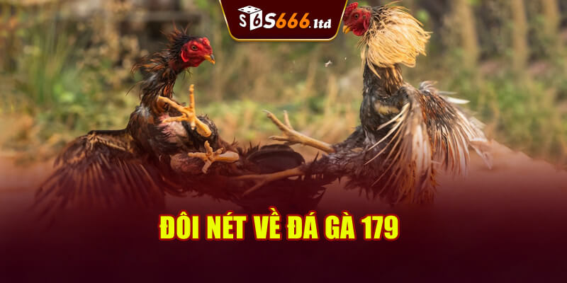 Đôi nét về Đá gà 179